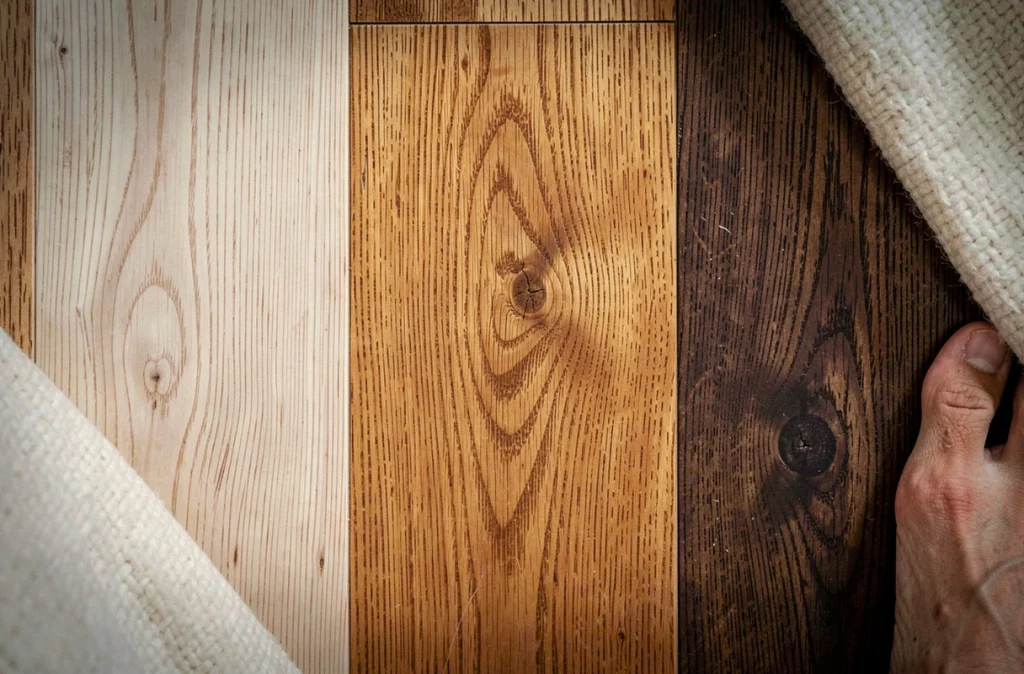 Comparaison de trois espèces de parquet bois — frêne, chêne et wengé — en détail macro